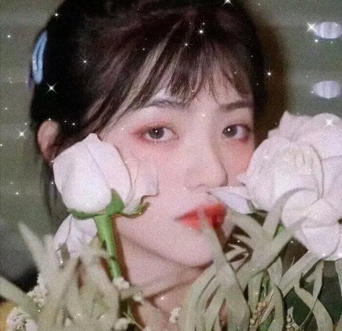 蒙娜丽莎的微笑